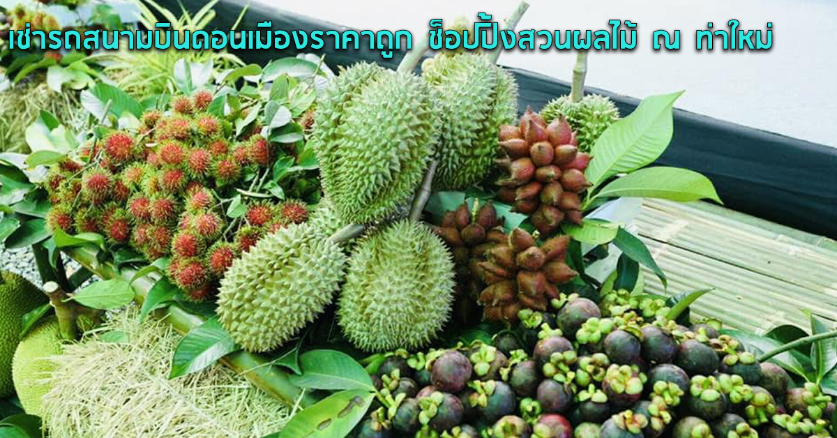เช่ารถสนามบินดอนเมืองราคาถูก ช็อปปิ้งสวนผลไม้ ณ ท่าใหม่ 